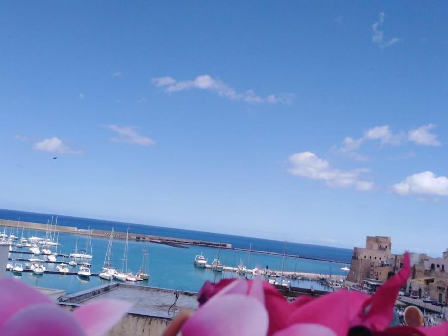 A 2 Passi Dal Castello ,Appartamento Con Veranda Castellammare del Golfo Exteriör bild